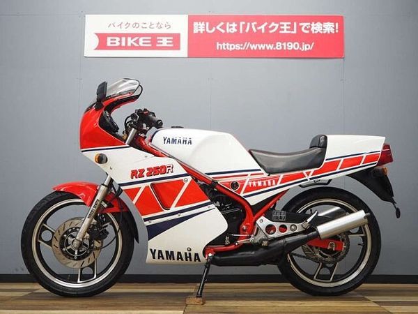 ヤマハ RZ250R RZ250RR 51L0 オプション・アンダーカウル/シングルシートカバー装備 4