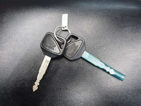 ホンダ CBR900RRファイアーブレード CBR929RR ファイヤーブレード ヤマモトSPEC-Aサイレンサー装備 9