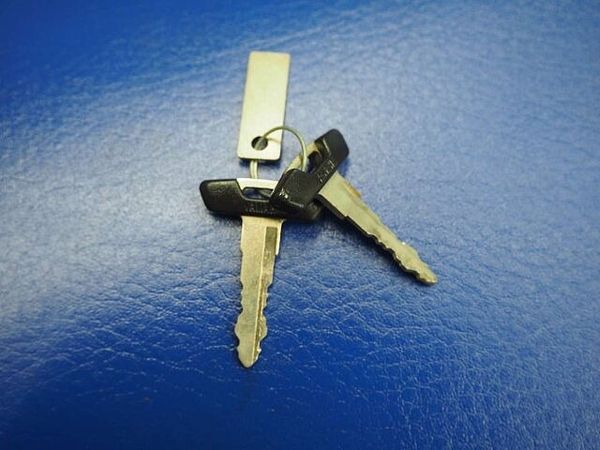 ヤマハ ランツァ (DT230) DT230ランツァ 4TP2 RSVサイレンサー装備 8