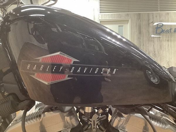 ハーレーダビッドソン XL1200X SPORTSTER FortyEight XL1200Xフォーティエイト■アレンネスエアクリーナー■デタッチャブルシーシーバー 10