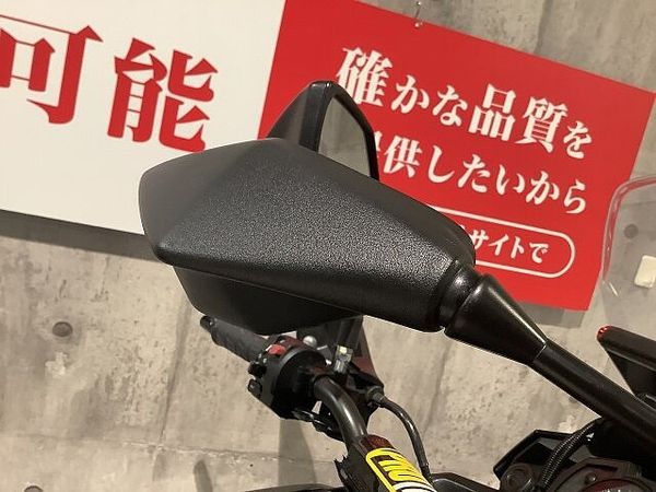 カワサキ VERSYS-X 250 ベルシス-X250 2018年モデル フルパニア エンジンガード フォグランプ装備!! 6