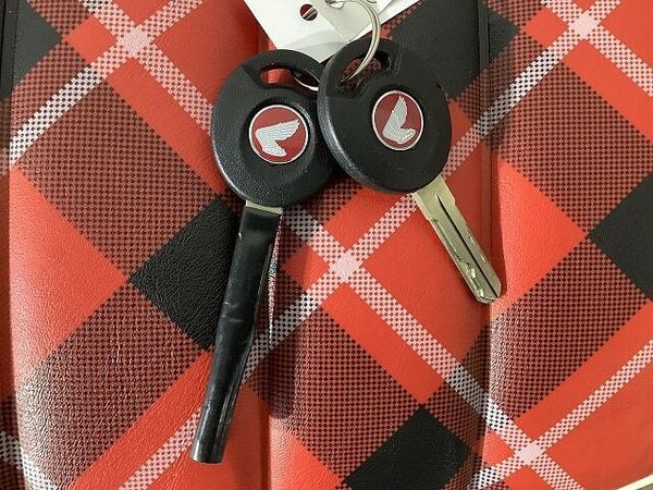 ホンダ モンキー125 モンキー125 ゆるいカラーリングでのんびり走れるオシャレモンキー 9
